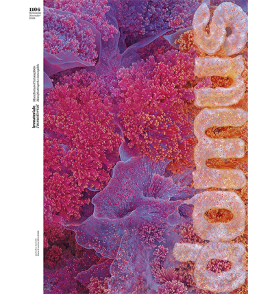 Domus N. 1106 November 2025 - Digitale